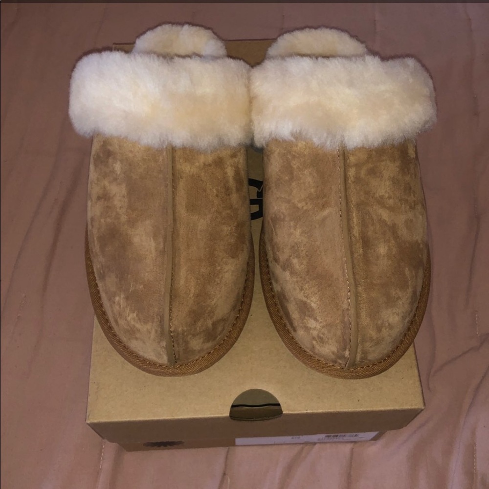 Ugg slippers